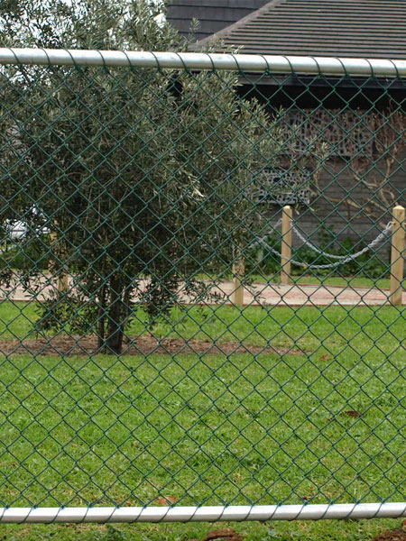 Galvanized Chain Link Mesh: A Durable and Economical Fencing Solution