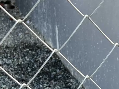 Galvanized Wire Mesh – Strong, Versatile, and Long-Lasting