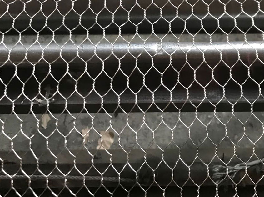 Chicken Wire Mesh – Lightweight, Flexible, and Essential for Agriculture