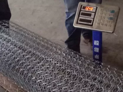 Hexagonal Wire Mesh: A Versatile and Durable Solution for Fencing, Gabions and Agricultural Uses