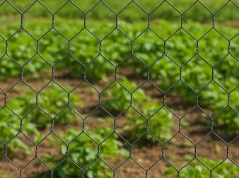 Durable Hexagonal Wire Mesh Solutions for Construction, Fencing, and Agriculture