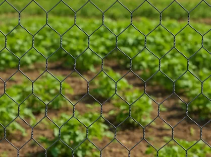 Durable Hexagonal Wire Mesh Solutions for Construction, Fencing, and Agriculture