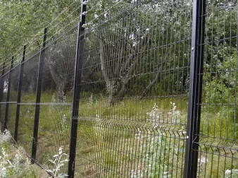 Welded Wire Mesh Rolls – Strong and Easy-to-Install Fencing Solution