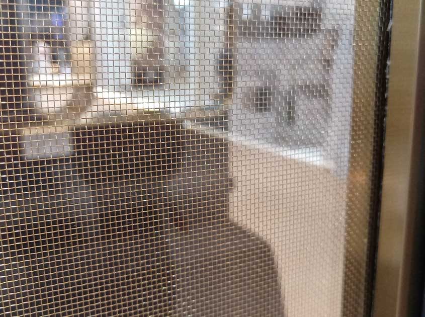 Stainless Steel Wire Mesh - Corrosion-Resistant and Versatile