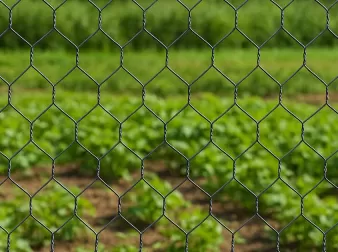 Hexagonal Wire Mesh Rolls – Versatile, Strong, and Ideal for Agricultural and Industrial Applications