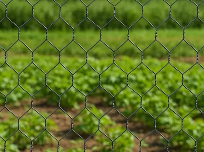 Hexagonal Wire Mesh Rolls – Versatile, Strong, and Ideal for Agricultural and Industrial Applications