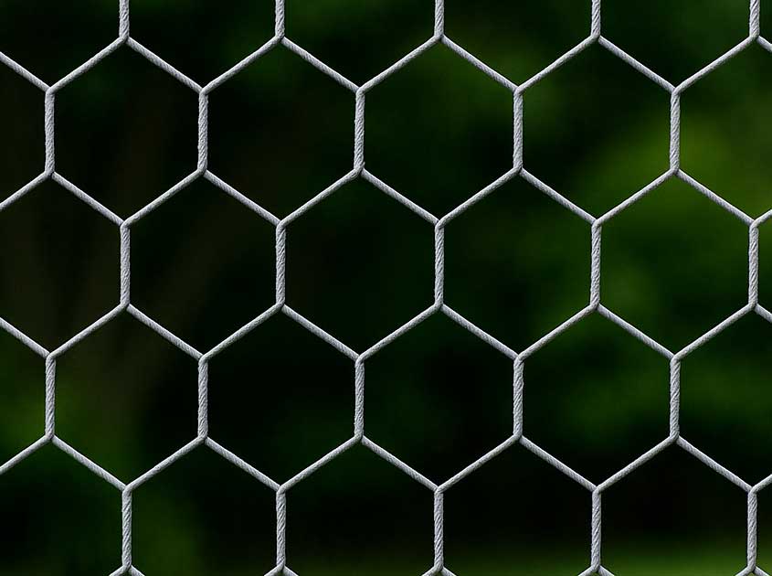 Galvanized Wire Mesh – Long-Lasting Protection for Global Buyers
