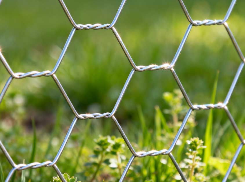 Applications of Hexagonal Wire Mesh