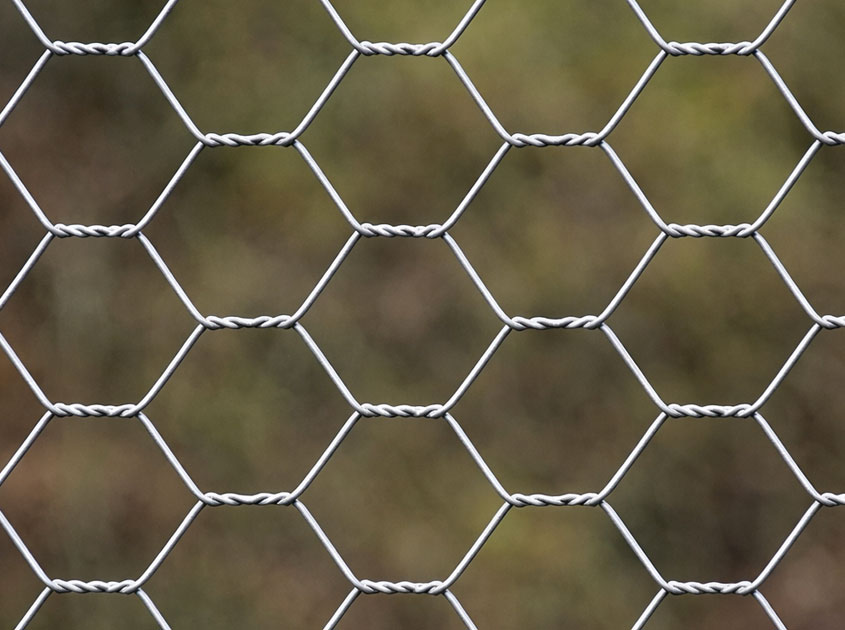 How to Choose Hexagonal Wire Mesh for Poultry and Livestock