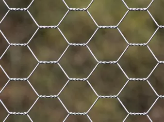How to Choose Hexagonal Wire Mesh for Poultry and Livestock
