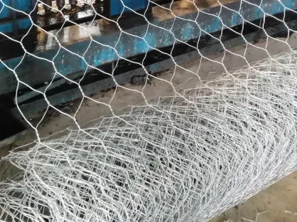 Hexagonal Wire Mesh: Types, Sizes and Applications Guide