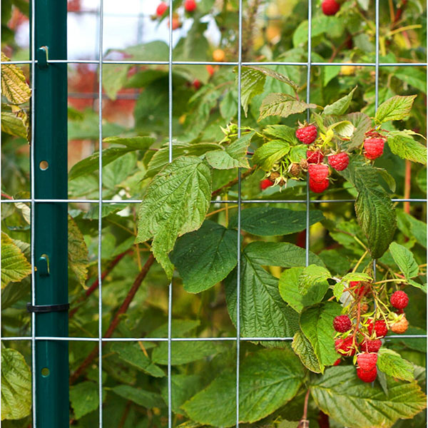 China Wire Mesh: Types, Manufacturers, Specifications and Buying Guide