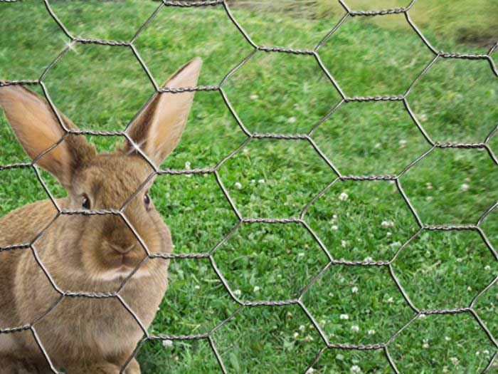 How to Choose the Right Hexagonal Wire Mesh: Mesh Size, Wire Gauge and Application Guide