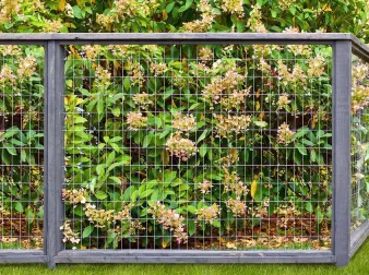 China Wire Mesh: Types, Manufacturers, Specifications and Buying Guide