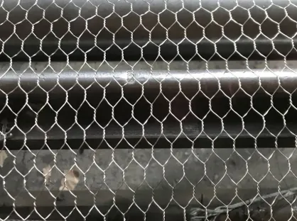 Chicken Wire vs Hexagonal Wire Mesh: Differences, Sizes and Uses