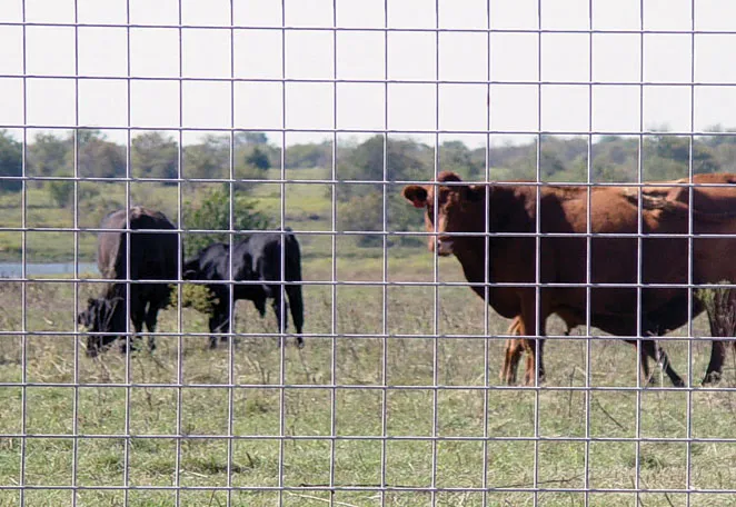 Galvanized farm fence