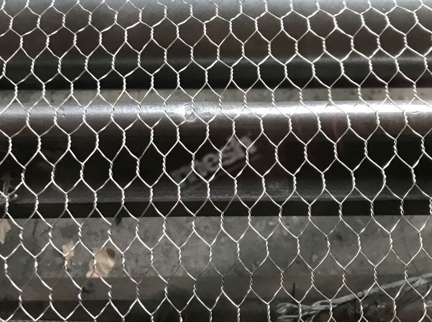Chicken Wire vs Hexagonal Wire Mesh: Differences, Sizes and Uses