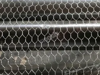 Chicken Wire vs Hexagonal Wire Mesh: Differences, Sizes and Uses