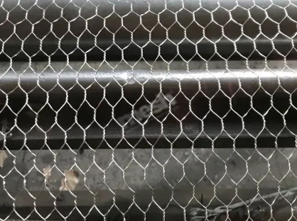 Chicken Wire vs Hexagonal Wire Mesh: Differences, Sizes and Uses