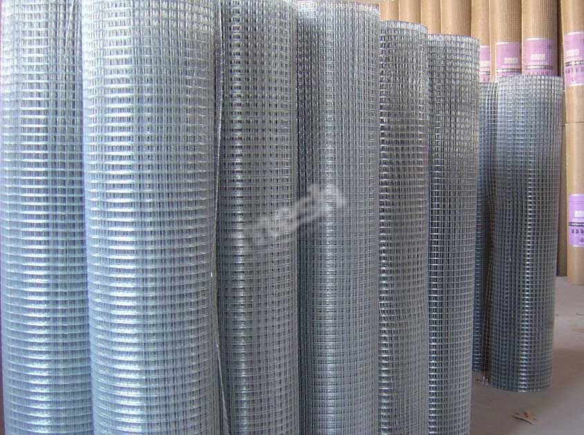 Hot-Dip Galvanized vs Electro-Galvanized Wire Mesh: Coating, Performance and Buying Guide